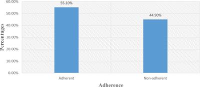 Medication-related burden and associated factors among diabetes mellitus patients at Felege Hiwot Comprehensive Specialized Hospital in northwest Ethiopia